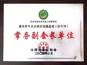 常务副会长单位