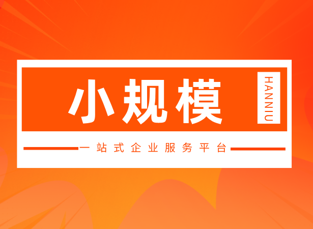 小规模纳税人（C套餐）