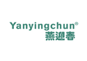 燕迎春YANYINGCHUN